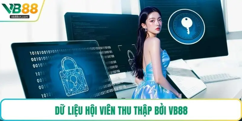 Dữ liệu hội viên thu thập bởi VB88