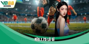 Kèo 1.75 Là Gì - Cách Phân Tích Tỷ Lệ Cho Người Mới
