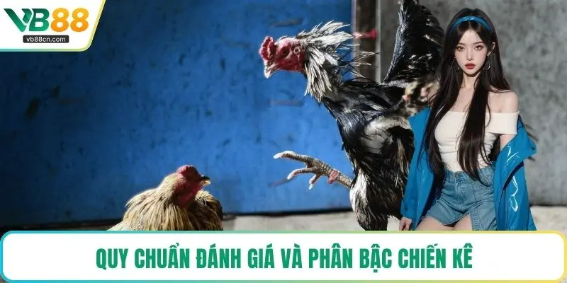 Quy chuẩn đánh giá và phân bậc chiến kê